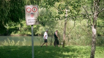 Žica