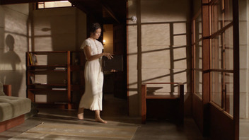 Schindler: Arhitekt prostora