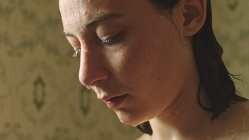 Vizualni feministički manifest