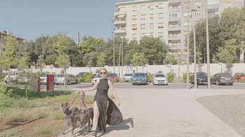 STISNI: STOP - Ri Lit Film