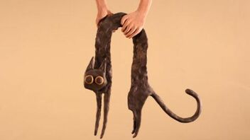 Animafin 3 - fokus na stop motion