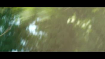 Laci bježi u Mađarsku | Niska trava | Šumica