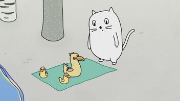 Mali europski maratonci