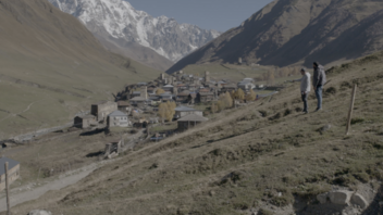 Zemlja muškaraca | Lisica pod ružičastim Mjesecom