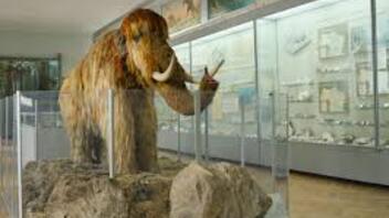 Poduka iz paleontologije | 2000 metara do Andriivke