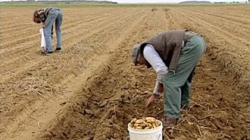 Trudim se: Kratki priručnik za integraciju | Obična kruška | Skupljači i skupljačica